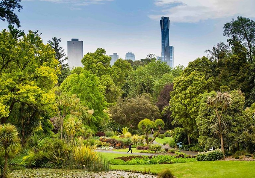 Vườn Bách thảo Hoàng gia Melbourne nằm tại Birdwood Ave, South Yarra, Melbourne, Australia