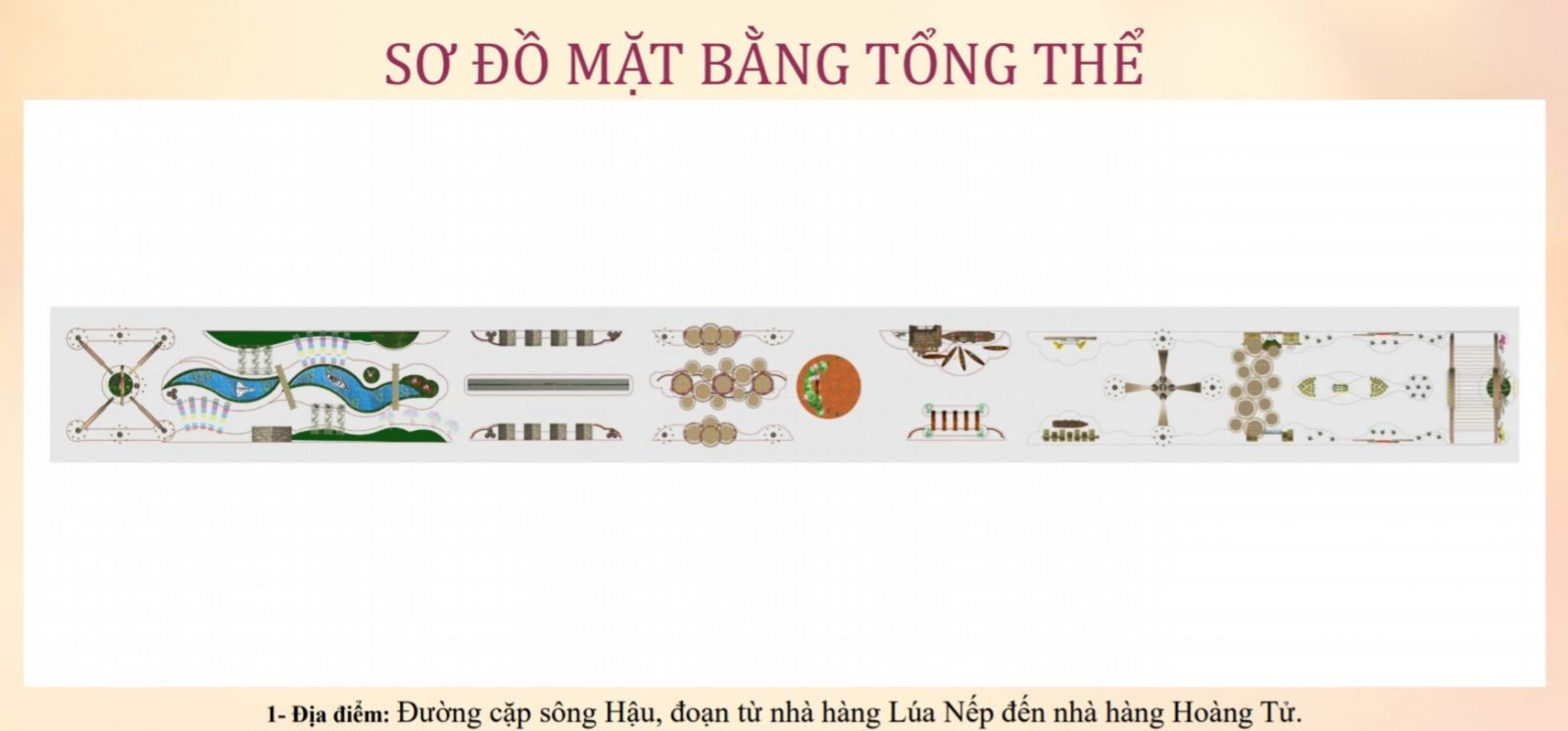 Cần Thơ: Chờ đón Đường hoa Cần Thơ xuân Tân Sửu Cần Thơ: Chờ đón Đường hoa Cần Thơ xuân Tân Sửu