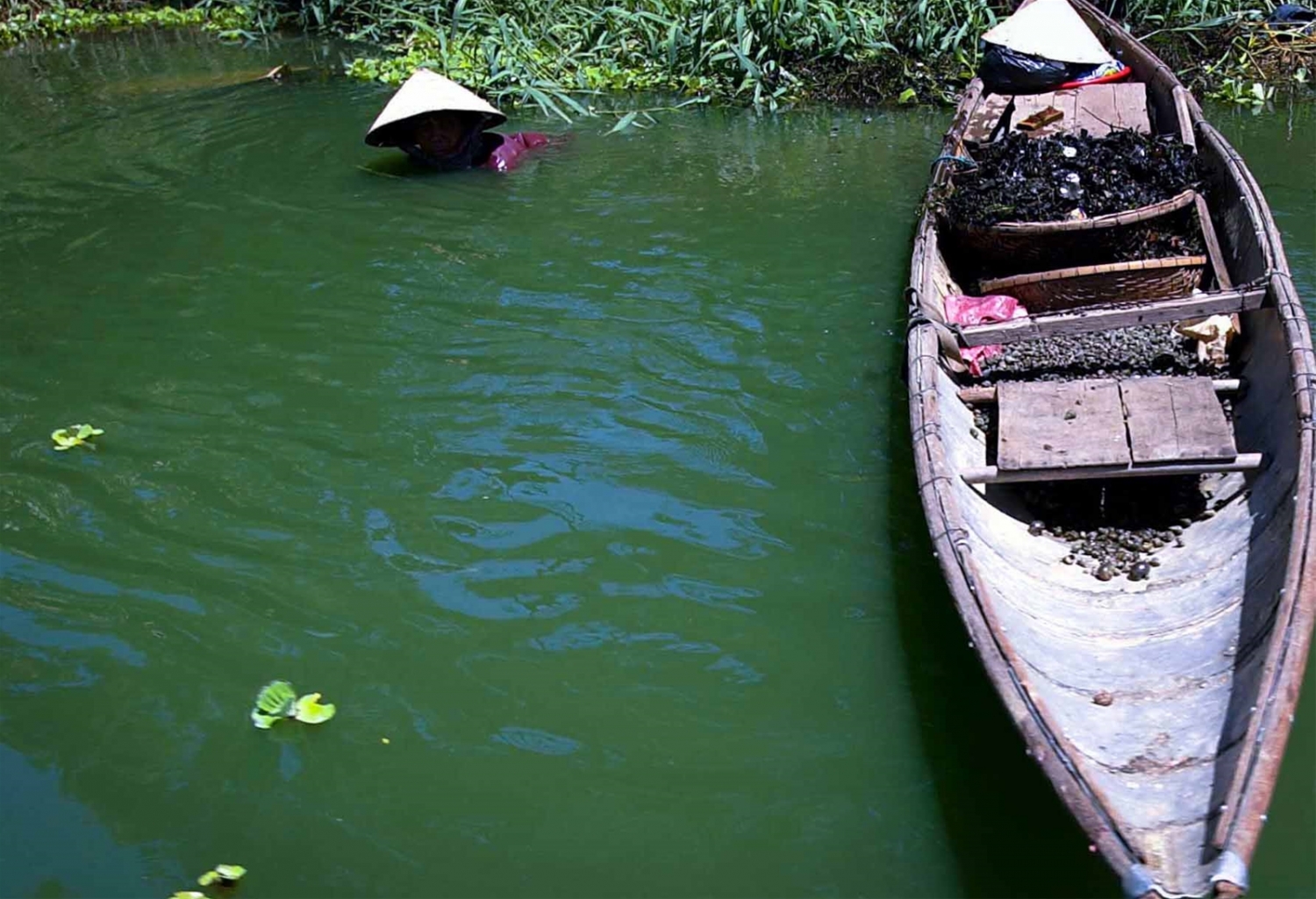 Về xứ Cồn: “Tìm trong vị hến một dòng Hương xanh” ve xu con tim trong vi hen mot dong huong xanh