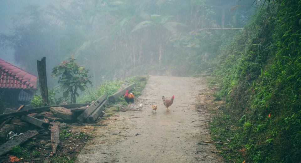 Khuổi My – Hà Giang: rêu phong, sương mù và bếp lửa Khuổi My - Hà Giang: Rêu phong, sương mù và bếp lửa