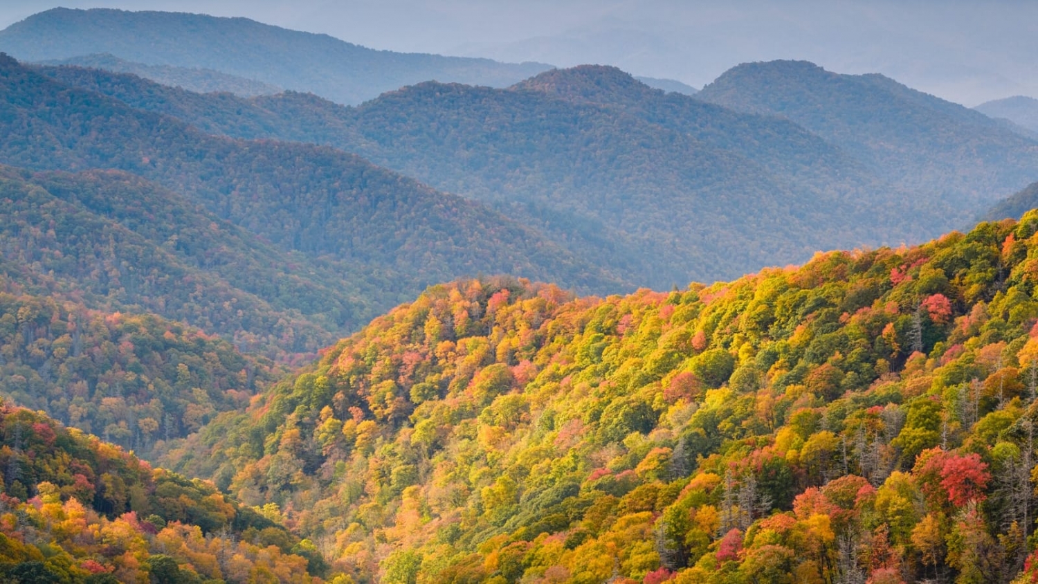 Interesting facts about the Smoky . Mountains