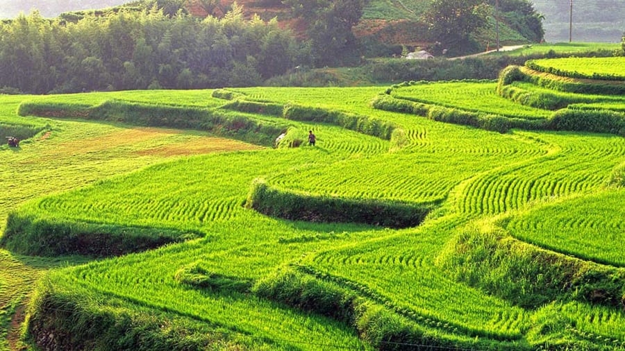 Du lịch Hàn Quốc những địa danh chưa được khám phá du lich han quoc nhung dia danh chua duoc kham pha