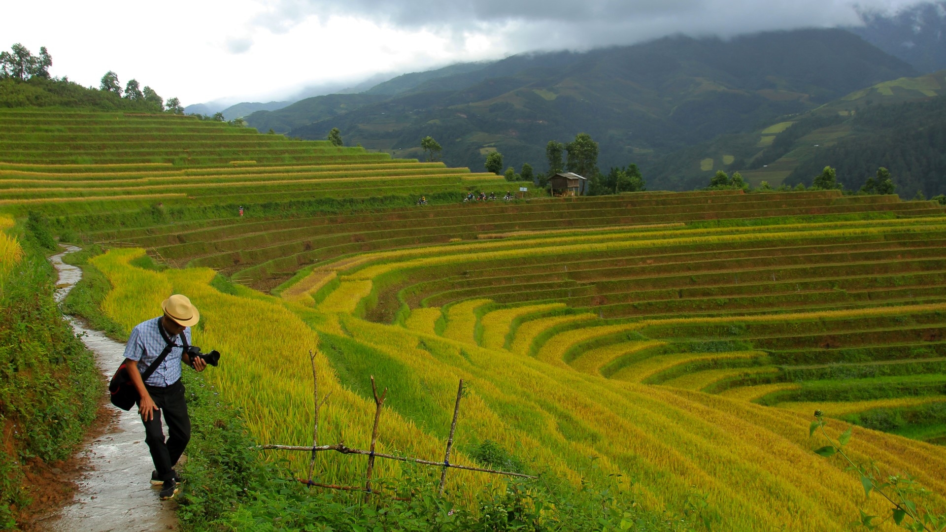 Ngây ngất với mùa vàng Tây Bắc ở Háng Đăng Dê