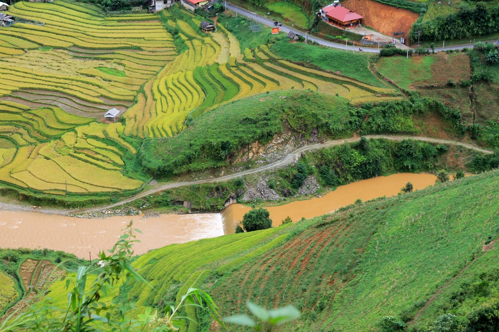 Ngây ngất với mùa vàng Tây Bắc ở Háng Đăng Dê