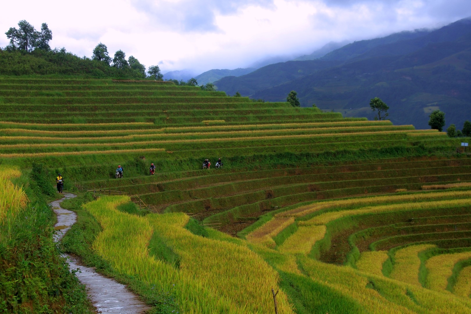 Ngây ngất với mùa vàng Tây Bắc ở Háng Đăng Dê