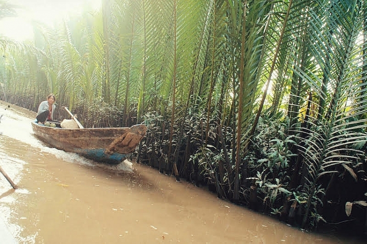 Đến cầu Rạch Miễu, hưởng ngoạn hai ốc đảo xanh mướt trên sông Tiền