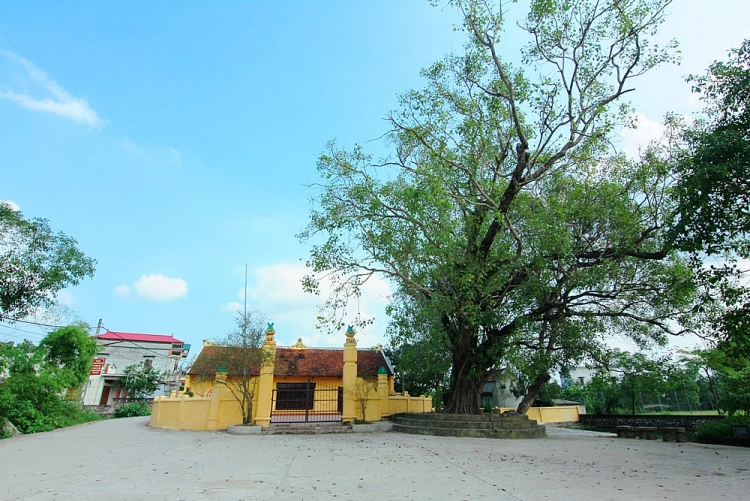 Hà Nội: Ghé thăm ngôi làng cổ có tuổi đời 500 tuổi ha noi ghe tham ngoi lang co co tuoi doi 500 tuoi