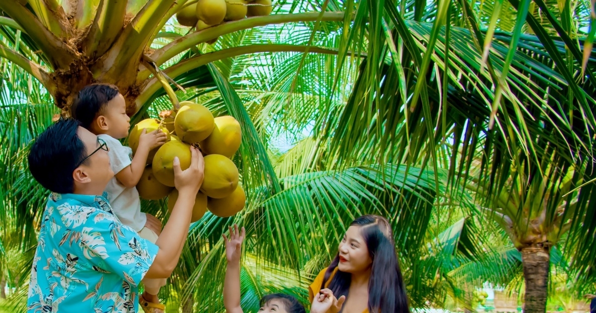 Ben Tre: Focusing on building a tourism Coconut land