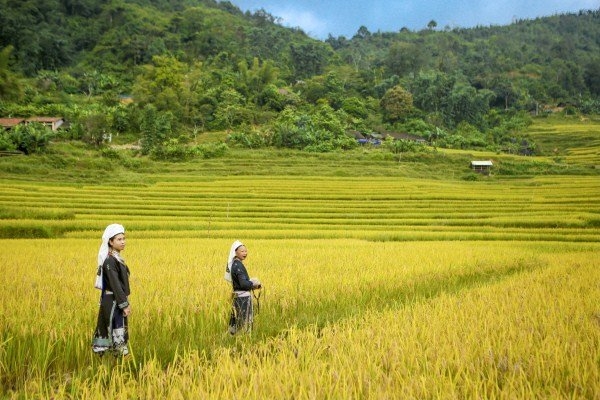 Attracting community tourism in Hoai Khao (Cao Bang)